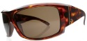 Electric Sunglasses - Hoy - Tortoise Shell/Bronze