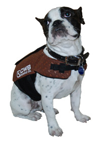 CWB - Otis Dog Vest