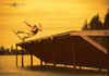 Josh Letchworth - Danny Harf Wakeboarding Poster