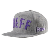 Neff - Felty Adjustable Cap - Grey
