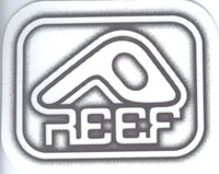 Reef - 3