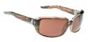 Zoe Sunglasses - Forest Tortoise/Bronze